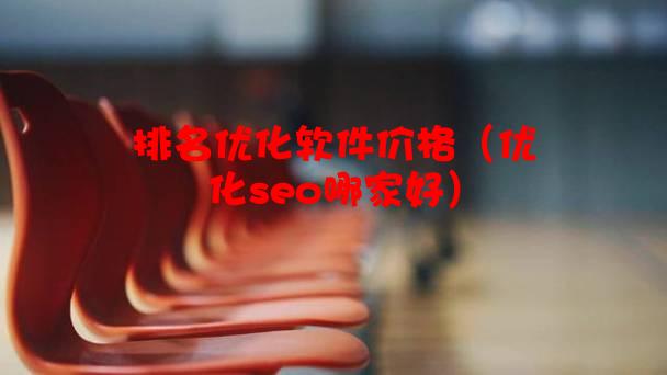 排名优化软件价格（优化seo哪家好）
