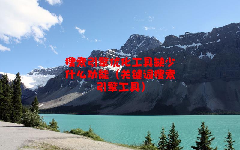 搜索引擎优化工具缺少什么功能（关键词搜索引擎工具）