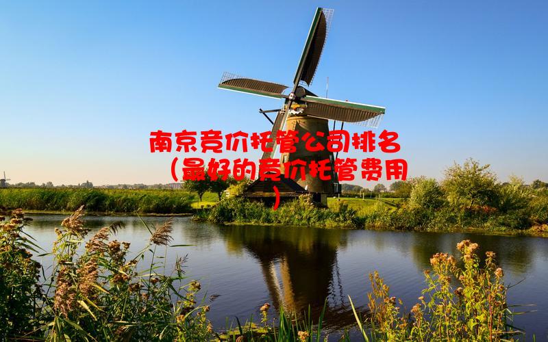 南京竞价托管公司排名（***好的竞价托管费用）