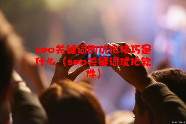 seo关键词的优化技巧是什么（seo关键词优化软件）