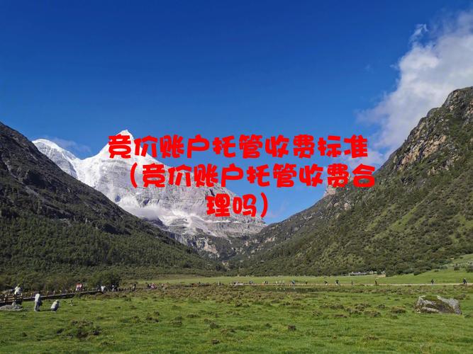 竞价账户托管收费标准（竞价账户托管收费合理吗）