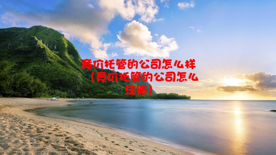 竞价托管的公司怎么样（竞价托管的公司怎么注册）