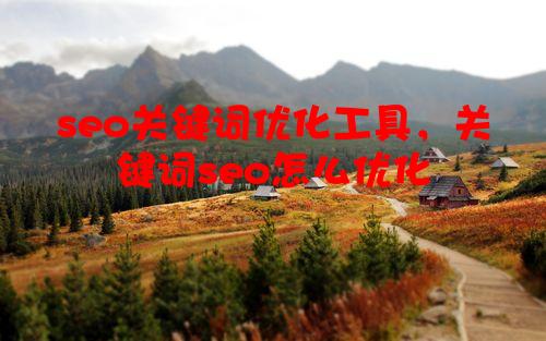 seo关键词优化工具，关键词seo怎么优化