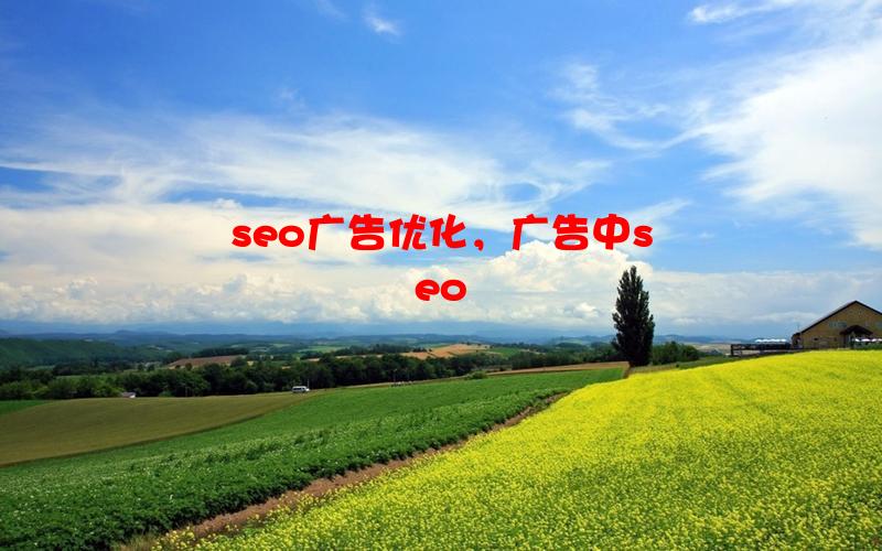 seo广告优化，广告中seo